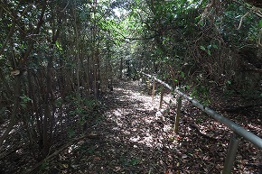 IMG_9060