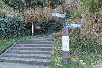 IMG_0281