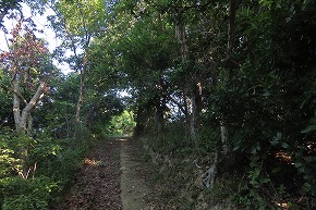 IMG_8354