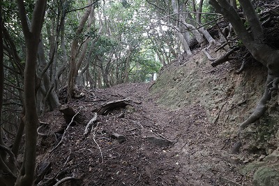 IMG_9259