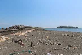 IMG_8063