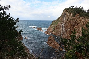 IMG_0918