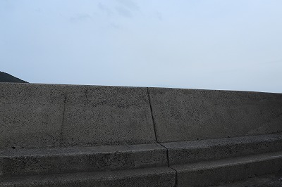 DSCN2246