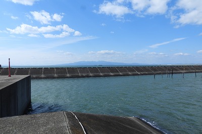DSCN4341