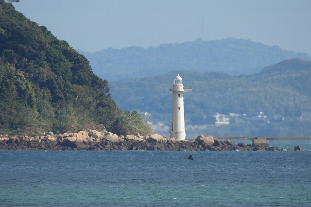DSCN0224