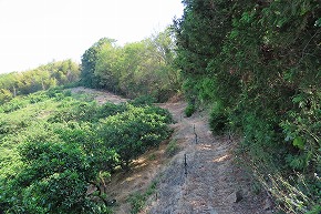 IMG_0368