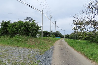 IMG_4071
