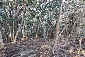 IMG_6103