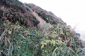 IMG_9067