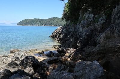 IMG_0231