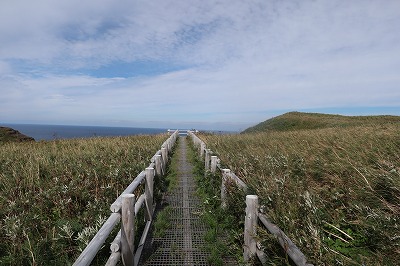 IMG_1062