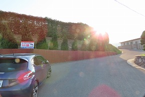 IMG_0224