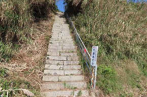 IMG_9100