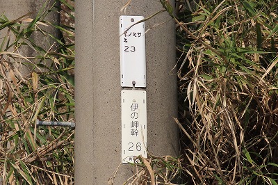 IMG_0572