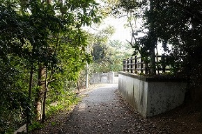 dsc09925