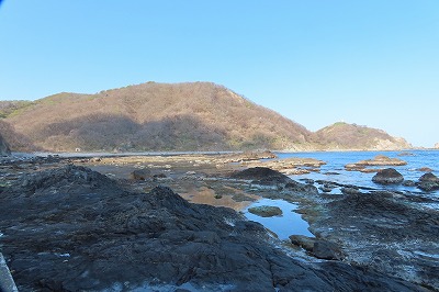 IMG_6509