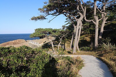 IMG_9284