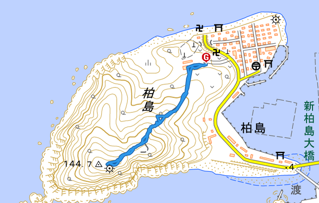 kashiwazimatoudai