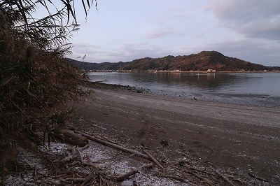 IMG_5348