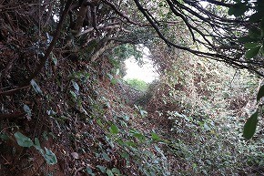 IMG_9072