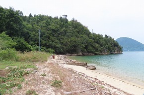 IMG_0428