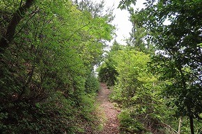 IMG_0432