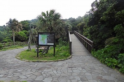 DSCN9869