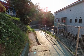 IMG_0228