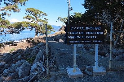 伊豆大瀬埼灯台 (2020/1/5) : プジョーで訪ねた灯台訪問記、今は