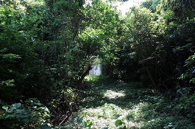 IMG_8865