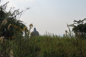 IMG_9153