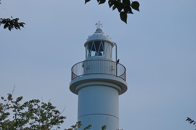 IMG_3799