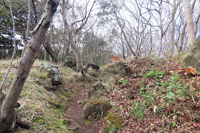 IMG_6440