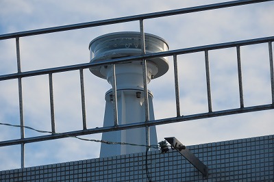 IMG_5462
