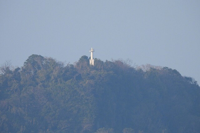 DSCN6182