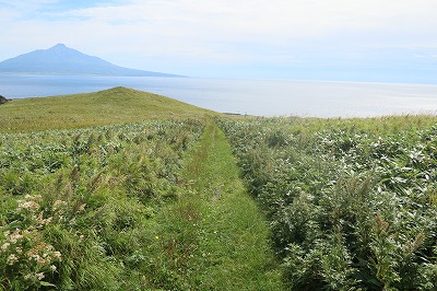 IMG_1077