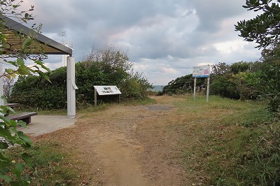 IMG_9519
