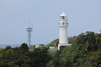 IMG_1319