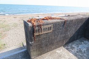 IMG_9040