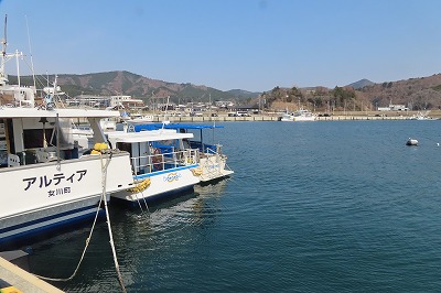 IMG_6046
