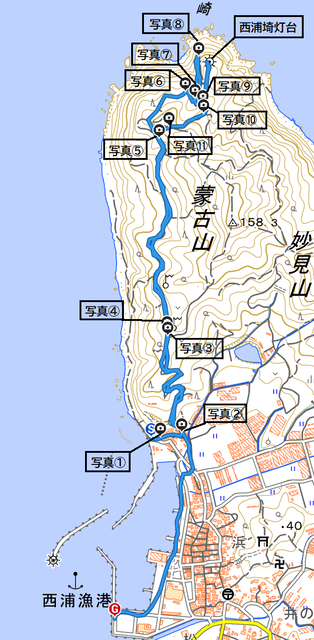nisiurasaki