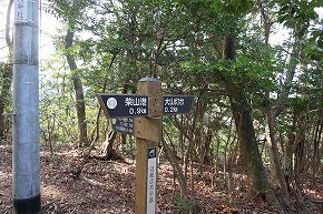 IMG_6095