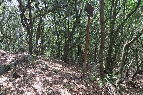 IMG_9936
