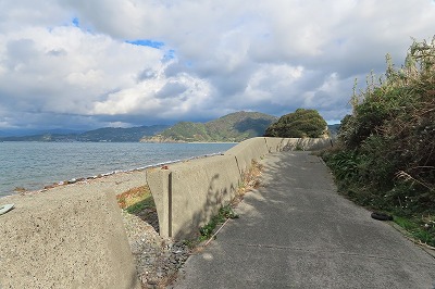 IMG_4935