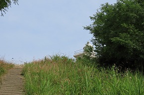IMG_0090