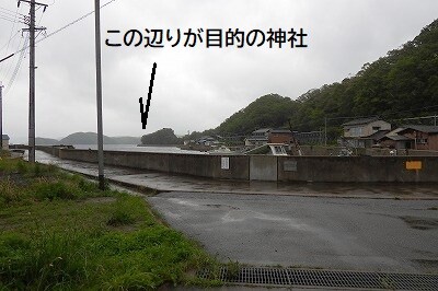 DSCN6699