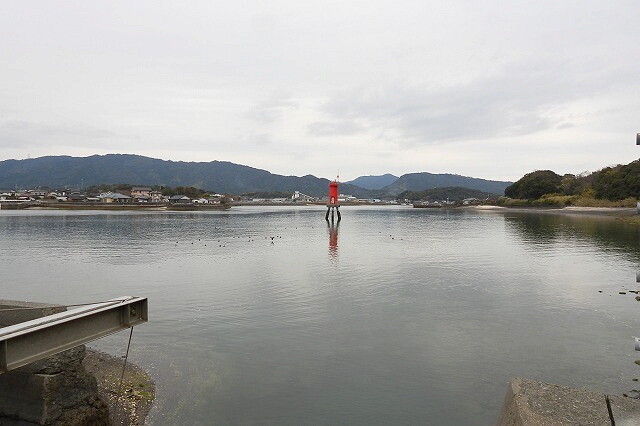 本ぼけ珊瑚　観音像　台込高さ約14.5㎝/138g 東Y7-0729⭐︎2Fトトカ 本ぼけ珊瑚 観音像 台込高さ約14.5㎝/138g 東Y7-0729