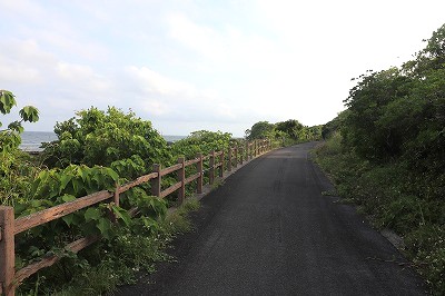 IMG_0103