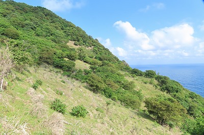 IMG_6756