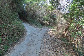 IMG_9346